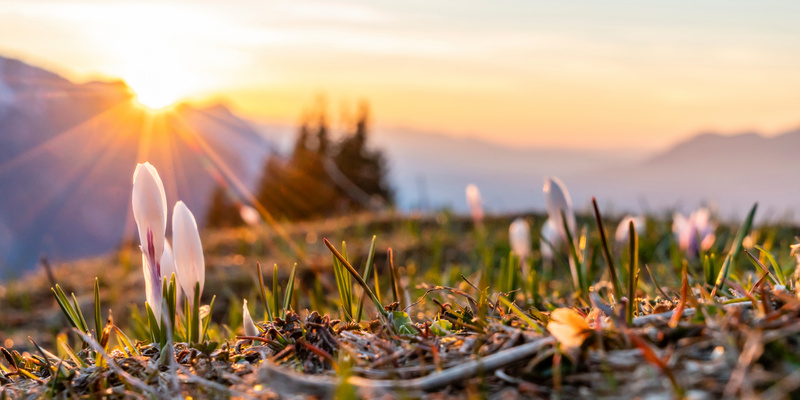 Bavaria in Spring: Much More Than a Season